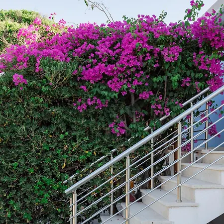 Villino Blu By The Sea